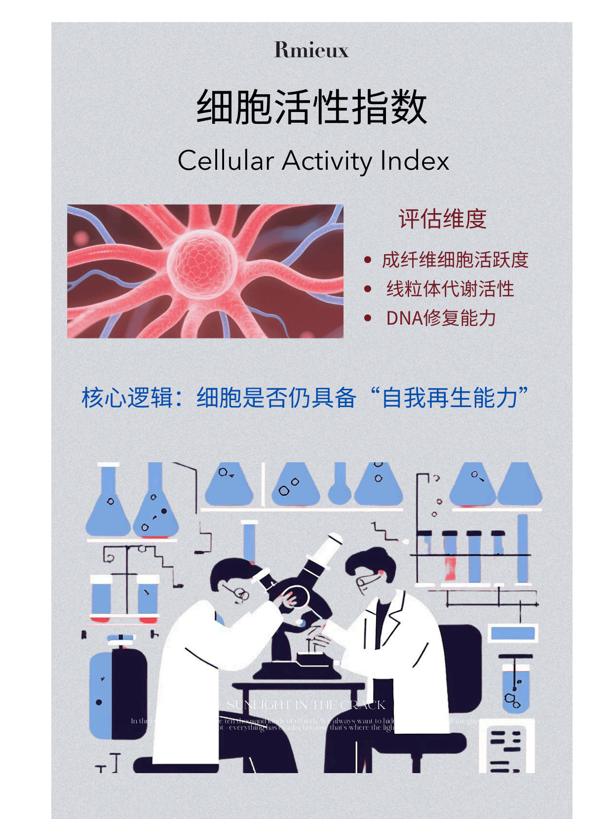 Rmieux Coefficient 2