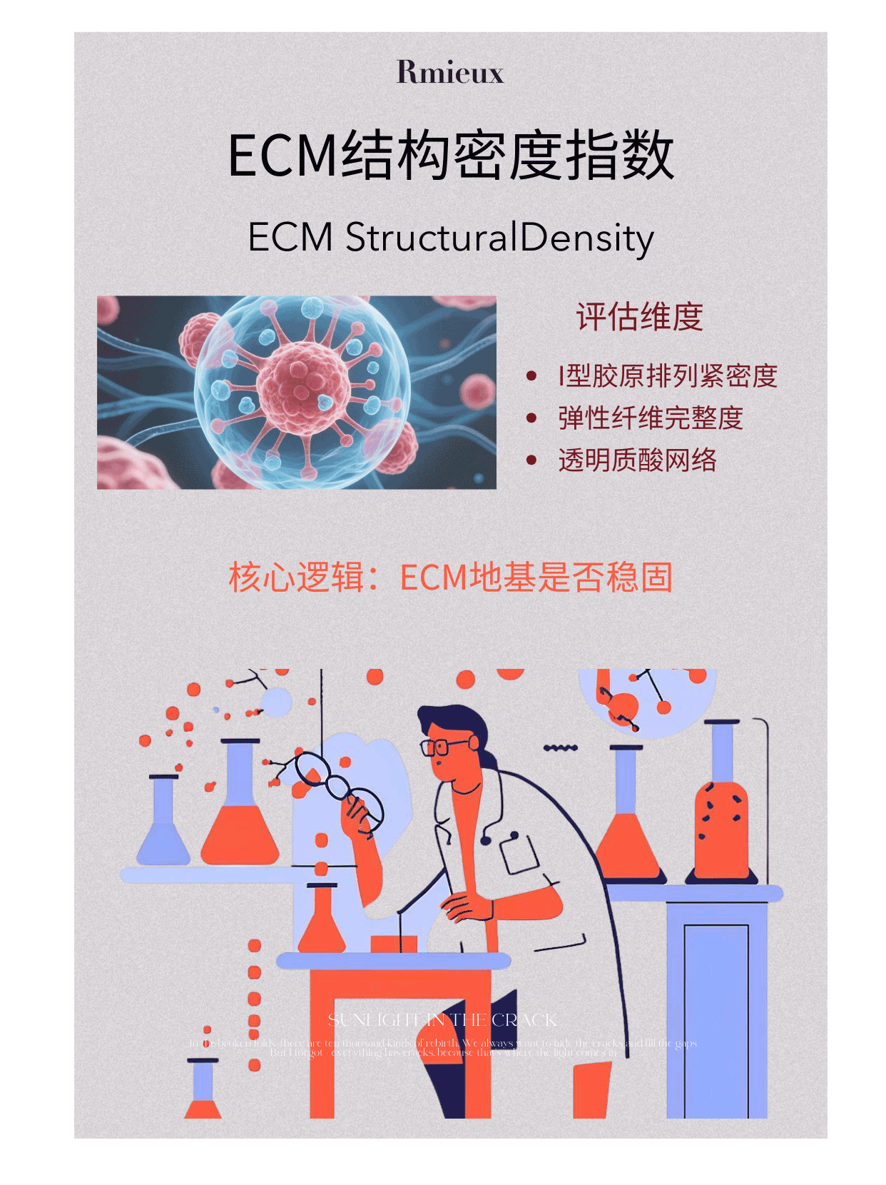Rmieux Coefficient 3