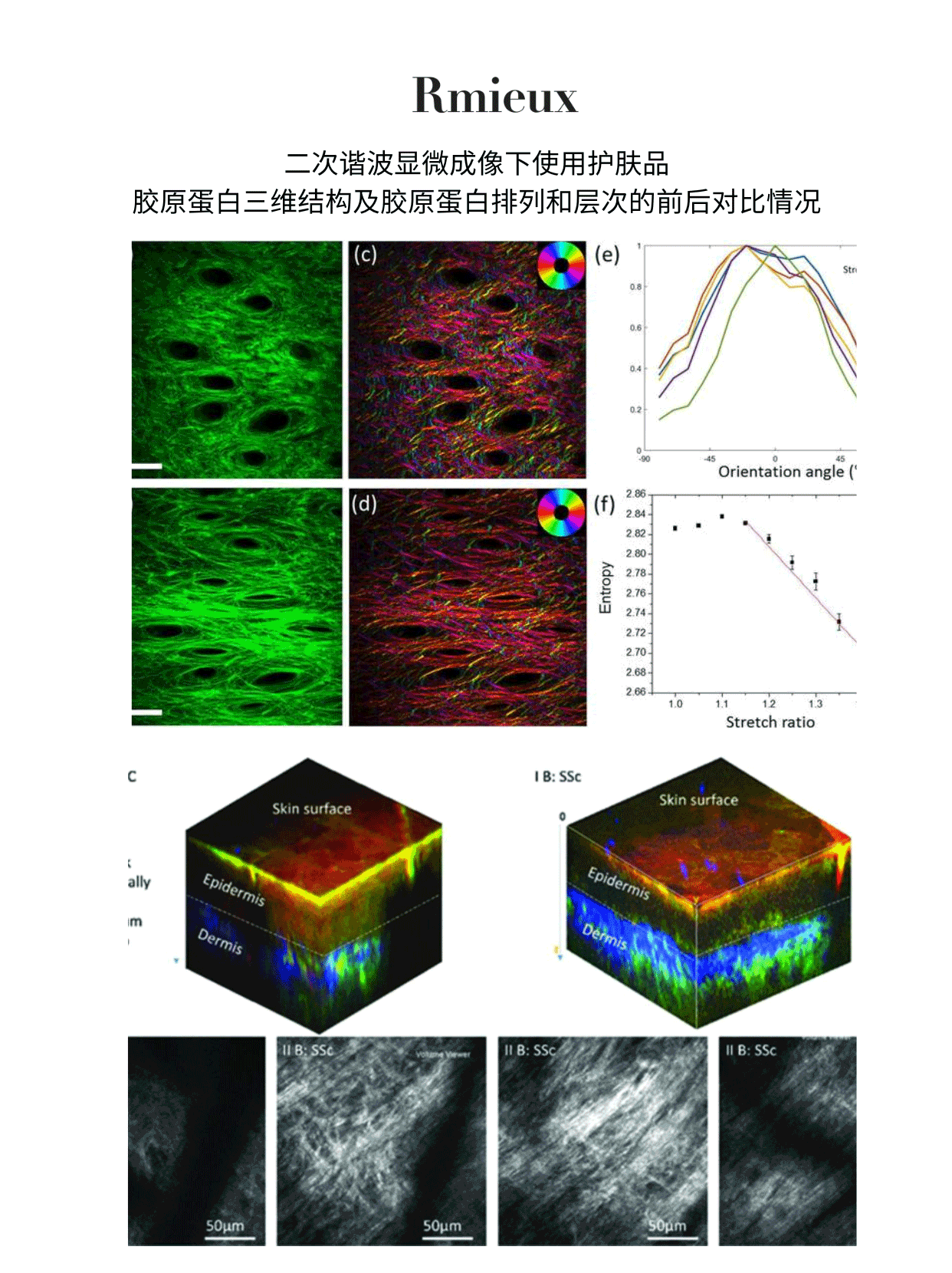 Rmieux Coefficient 7